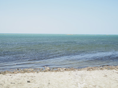 The Aral Sea, Kazakhstan 2015